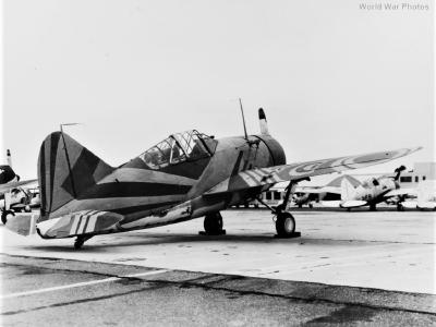 F2A Barclay camo