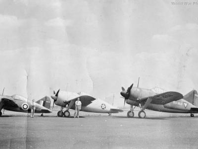 F2A Buffalos