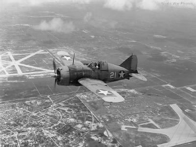 Brewster F2A-3 in flight