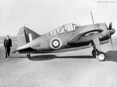 British F2A W8131