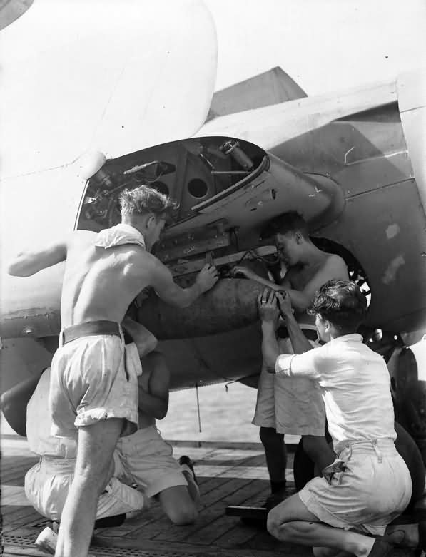 A 250 lb bomb loaded into Wildcat 881 Squadron FAA HMS Pursuer invasion of Southern France 15 August 1944