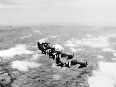 Grumman Wildcats of No 846 Squadron FAA in flight