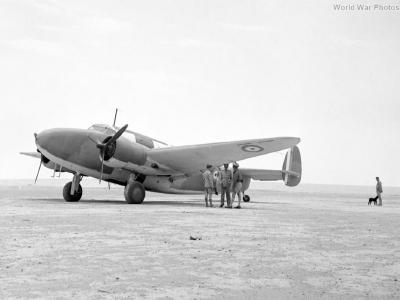 Lodestar