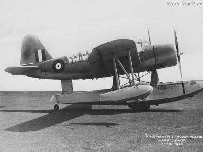 Kingfisher FN678