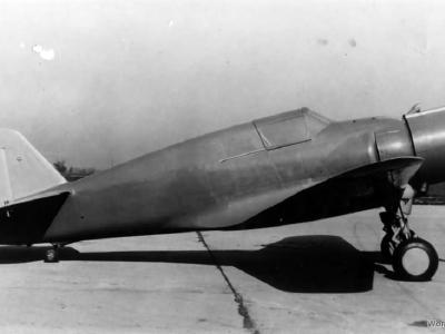 Curtiss Hawk 75 NX17Y 3