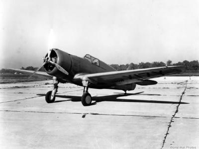 Curtiss Hawk 75 NX17Y 5