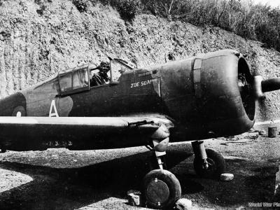 Mohawk Mk IV BS374