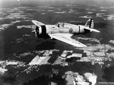 Curtiss P-36A PT99 of the 20th PG
