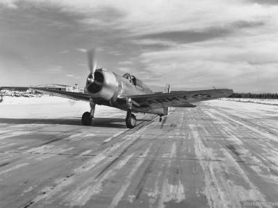 P-36 at Ladd Field Alaska 1942