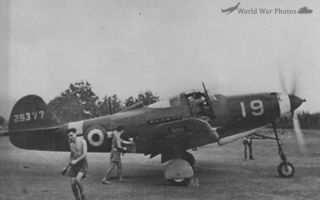 P-39N Italian
