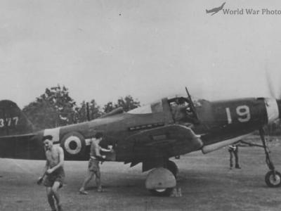 P-39 Airacobra part 2