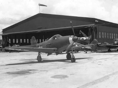 P-39D Airacobra 41-38283 July 1943