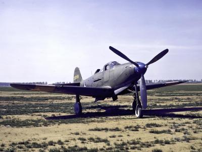 P-39N-1 Airacobra 42-9719 of the 118th TRS, Aiken, SC 1943