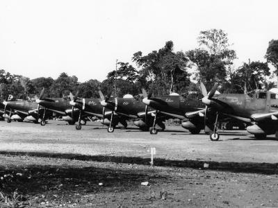 P-39Q of the 82d Reconnaissance Squadron (Fighter), New Guinea 28 May 1944