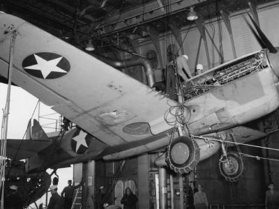 Curtiss P-40 325th Fighter Group