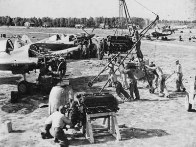 Curtiss P-40 Africa 1943