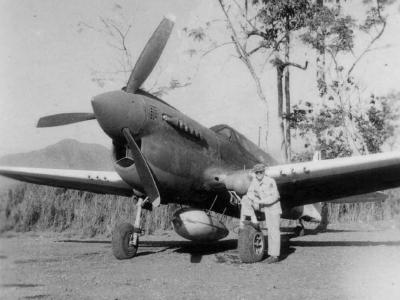 Curtiss P-40 New Guinea