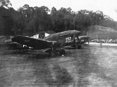P-40F Warhawk named BETTY ANNE