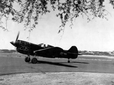 Curtiss P-40K Warhawk „Shellie IV” #205 42-46104 of the 78th Fighter Squadron 15th FG