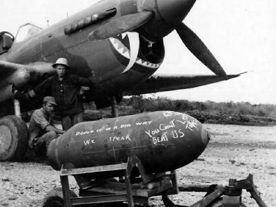 P-40 of the 25th Fighter Squadron 51st FG