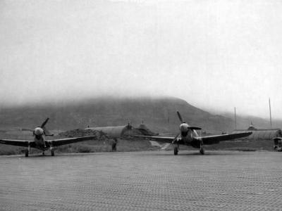 P-40 344th Fighter Squadron 343rd Fighter Group