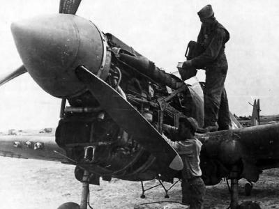 P-40 of the 87th Fighter Squadron At Tunisia 1943