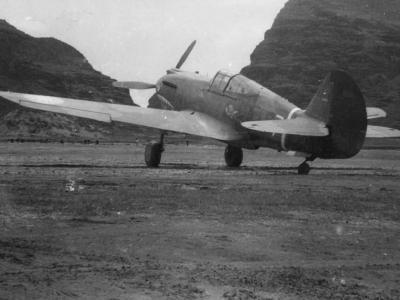 P-40 AVG Flying Tigers White 7
