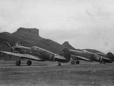 P-40 AVG Flying Tigers White 9, 16 and 96