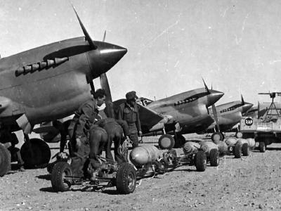 P-40 RAF Libya 1943