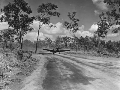 49th Fighter Group P-40 Darwin