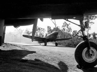 49th Fighter Group P-40 Warhawk at Darwin Australia