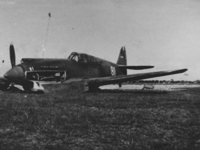 Curtiss Hawk 81A-2 AVG White 81