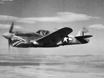 P-40L Warhawk 42-10715 in flight
