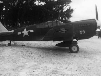 P-40M Warhawk of the 49th FG