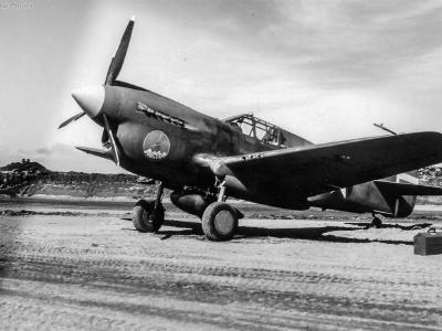 P-40E 18th Fighter Squadron Cold Bay May1942
