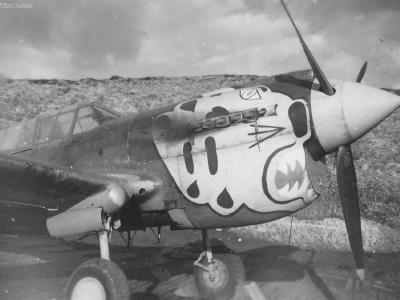P-40 Warhawk of the 343rd Fighter Group Adak