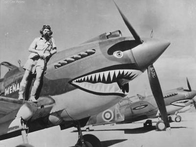 Flt Lt Neville Bowks Bowker from 112 Squadron