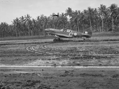 Kittyhawk IA of No, 75 Squadron RAAF at Milne Bay September 1942 2