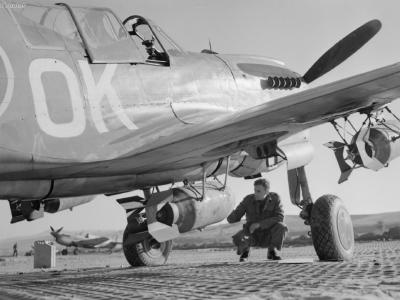 „Kittybomber” of No. 450 Squadron RAAF Italy