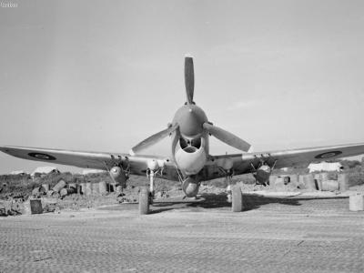 Kittyhawk IV of No. 450 Squadron RAAF Cutella