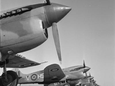 Kittyhawks III of No. 260 Squadron RAF December 1942