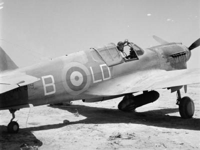 Kittyhawk Mk I AK919 LD-B