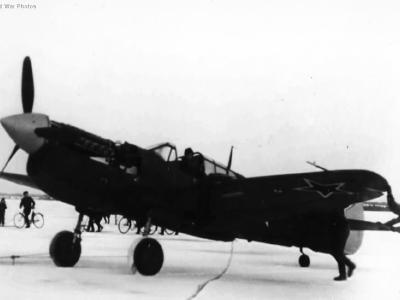 Russian P-40M White 23