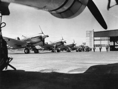 P-40s of 118 Squadron RCAF 2