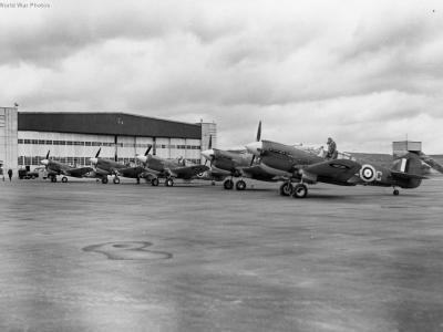 P-40s 118 Squadron RCAF