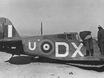Curtiss Tomahawk IIB
