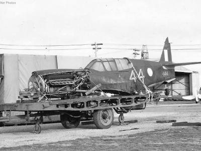 Crashed Curtiss P-40E A29-144 RAAF