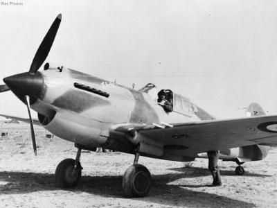Tomahawk IIB „Chaka” of No. 5 Squadron SAAF