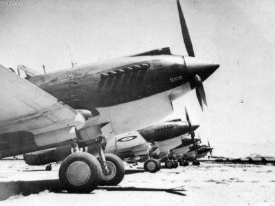Tomahawks IIB of No. 3 Squadron RAAF Rayak Lebanon 2