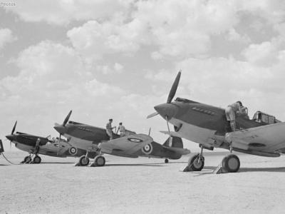 Curtiss Tomahawks Mk IIB Egypt